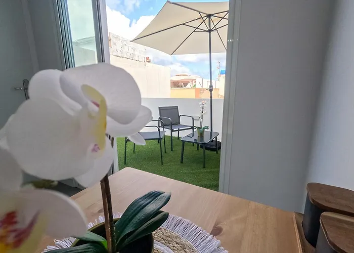 Violeta Apartment Las Palmas / Gran Canaria